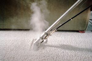 carpet cleaning Georgia