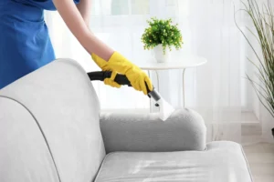 eco-friendly upholstery cleaning