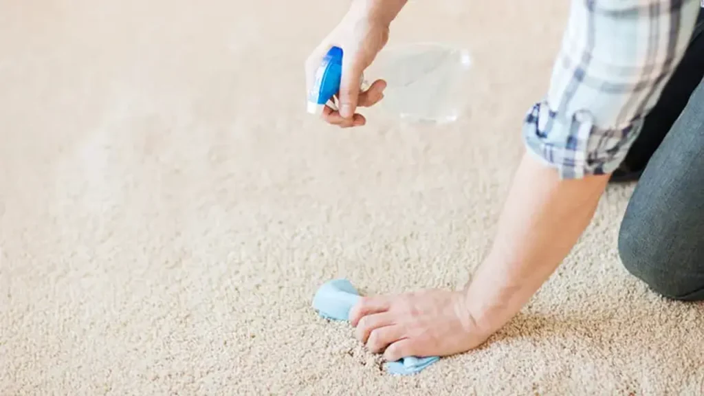 DIY vs. Professional Carpet Stain Removal: Which Wins?
