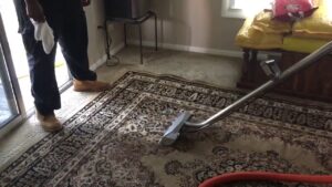 steam cleaning area rugs Georgia