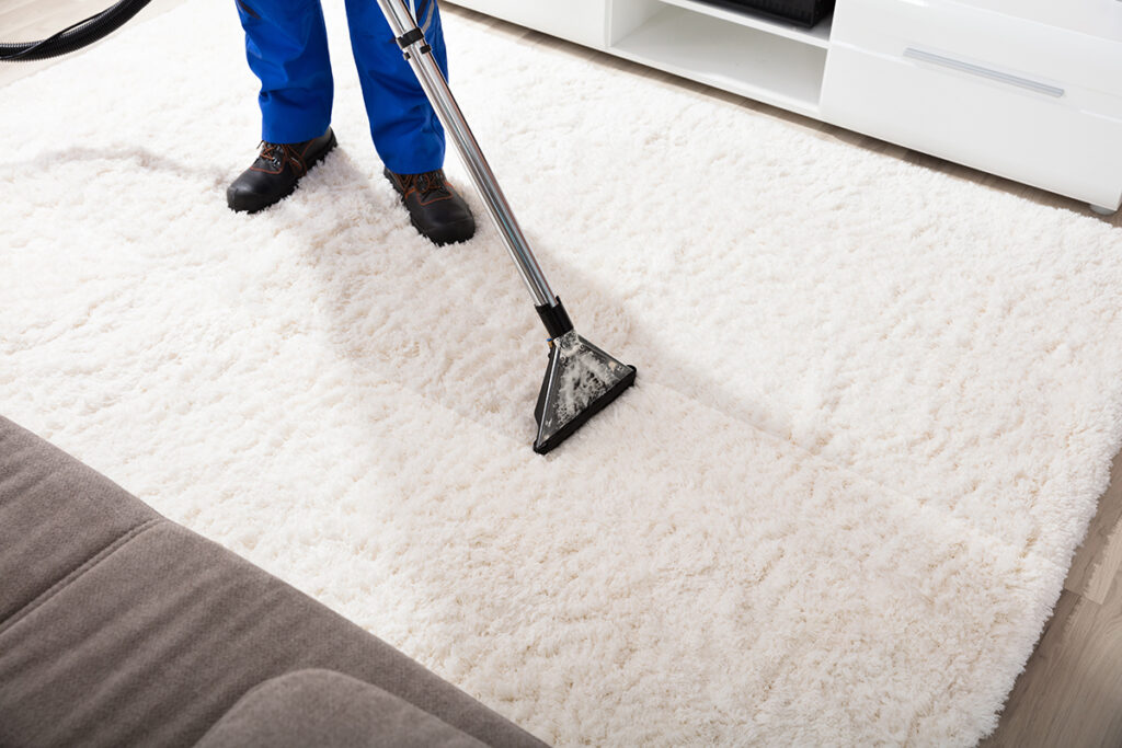 Carpet Cleaning Services