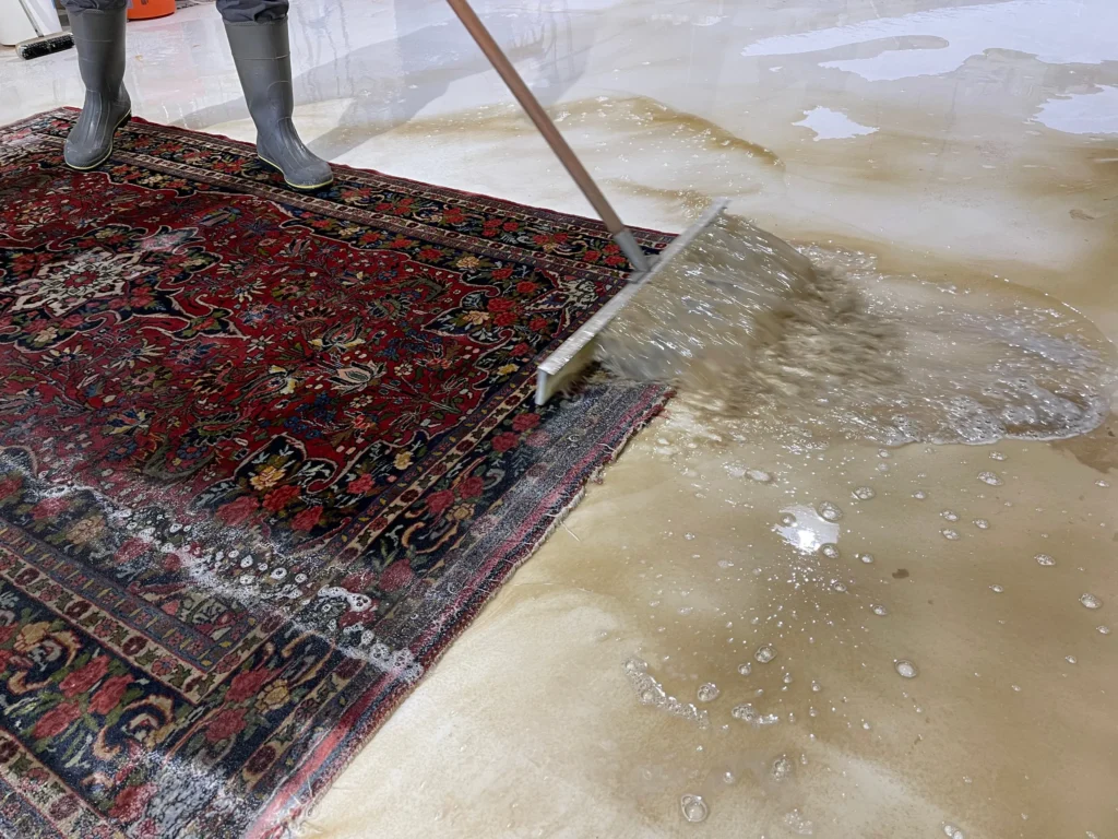 Rug Cleaning Near Me