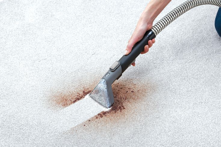 Carpet Stain Removal