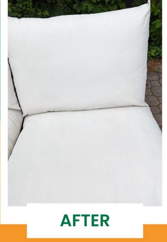 WhatsApp Image 2025-11-19 at 4.44.18 AM