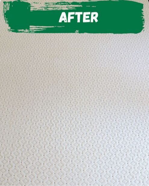 WhatsApp Image 2025-11-19 at 4.44.20 AM