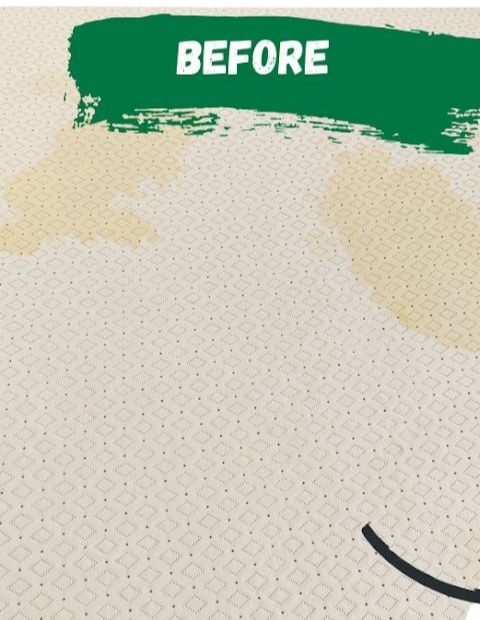 WhatsApp Image 2025-11-19 at 4.44.20 AM WhatsApp Image 2025-11-19 at 4.44.20 AM