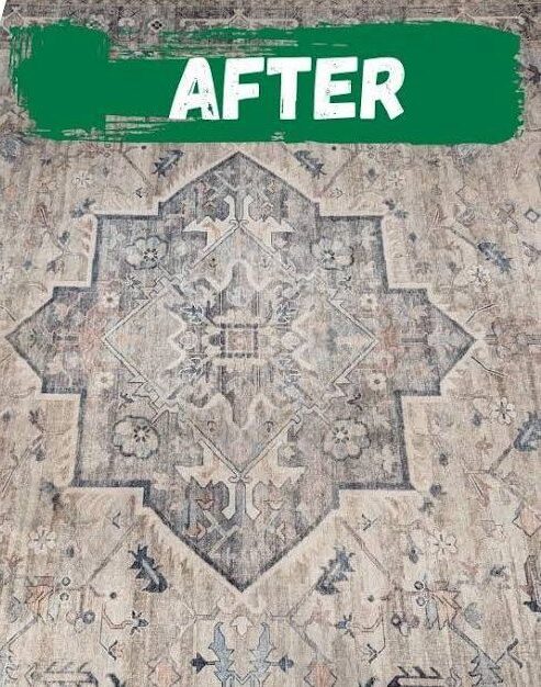 WhatsApp Image 2025-11-19 at 4.44.22 AM