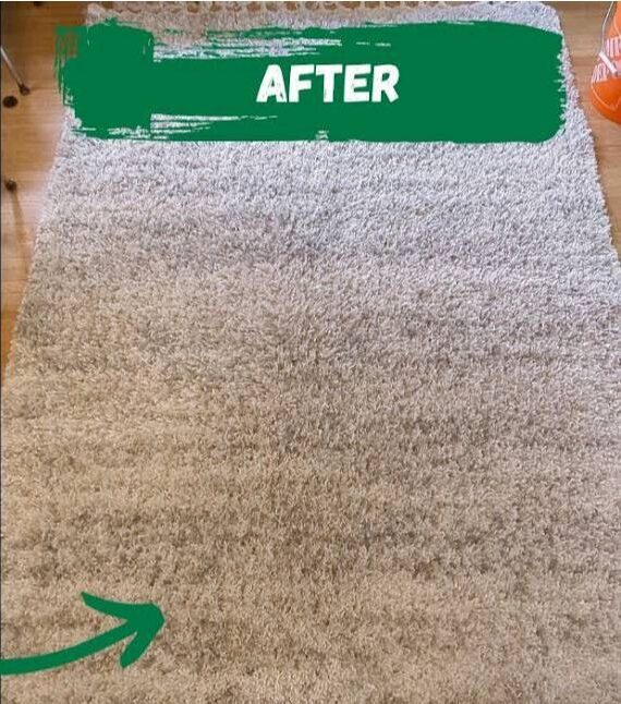 WhatsApp Image 2025-11-19 at 4.44.24 AM