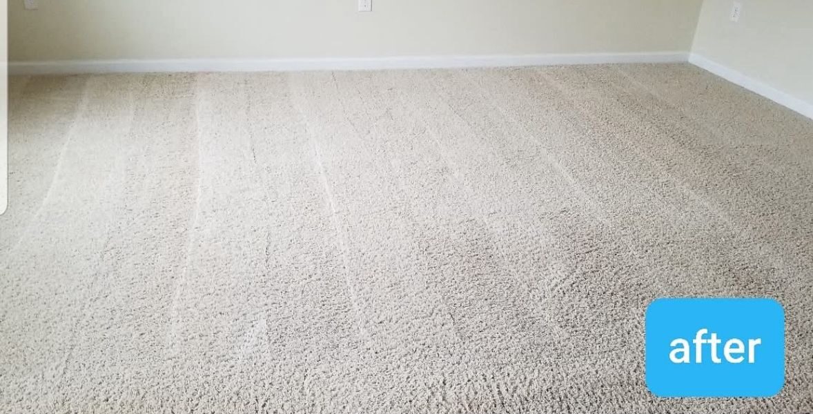 WhatsApp Image 2025-11-19 at 4.44.28 AM