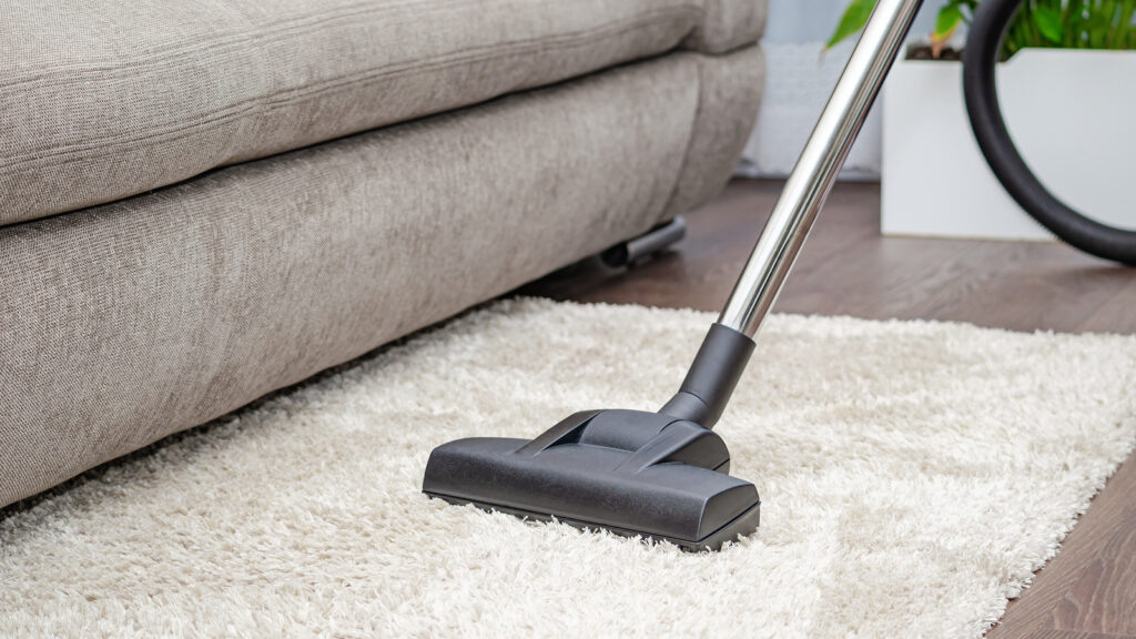 Carpet cleaner