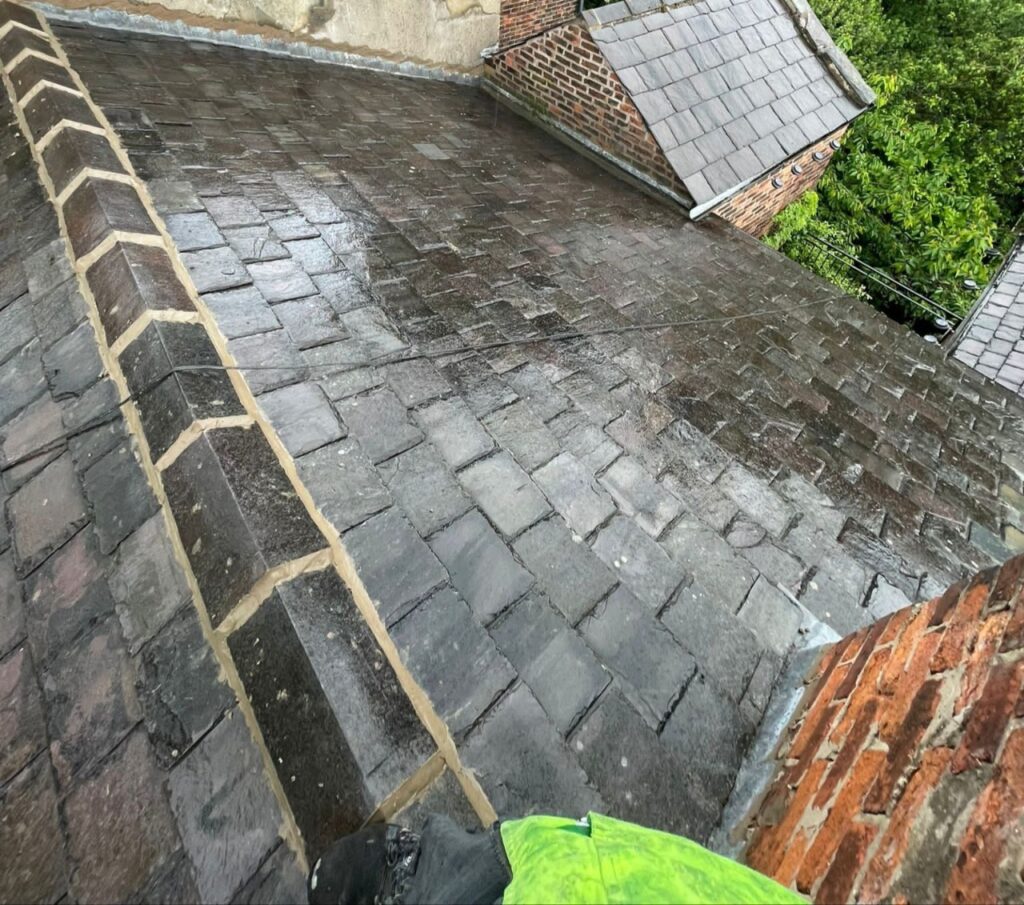 Roof Repair Belvedere Park