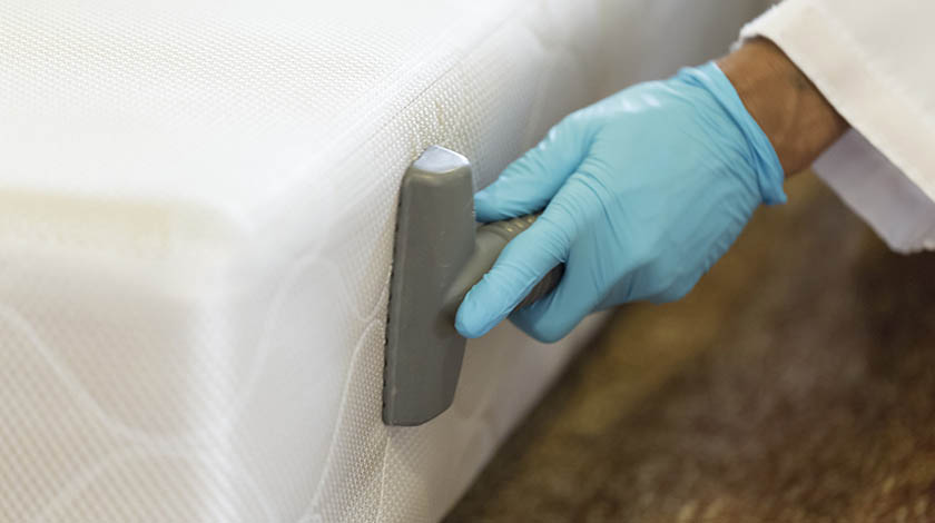 Allergen Removal Avondale Estates