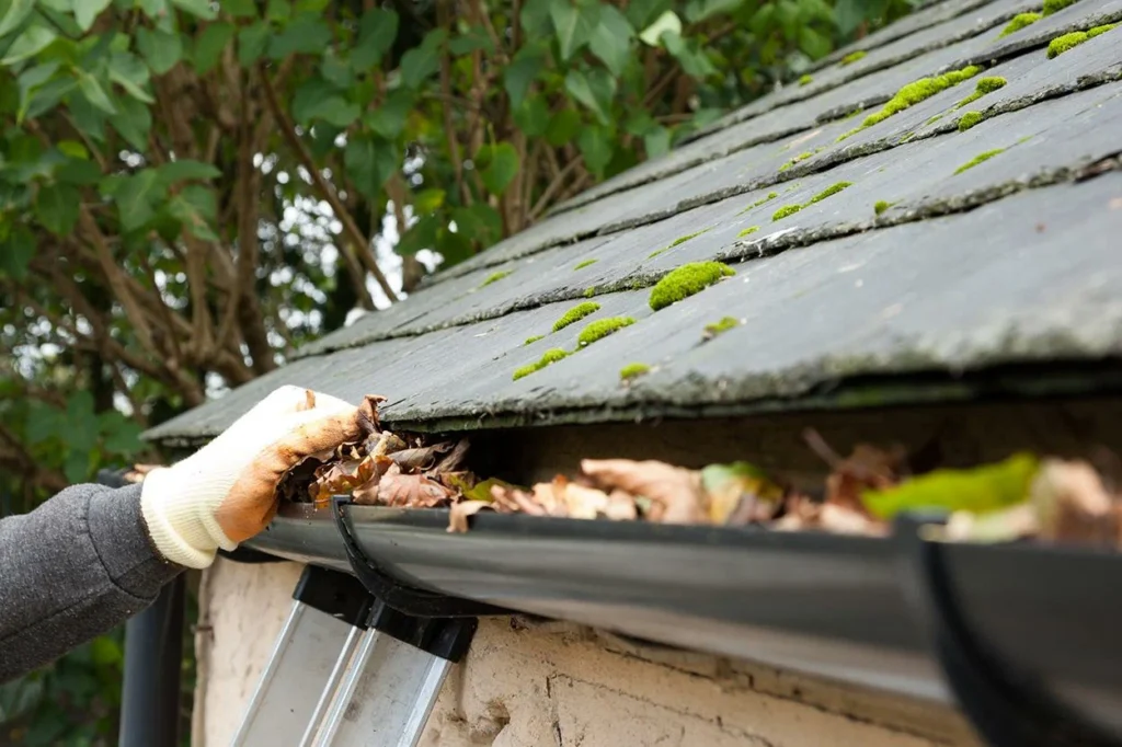 Gutter Cleaning Cumberland